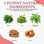 wang-oil-special-ayurvedic-neem-soap-50g